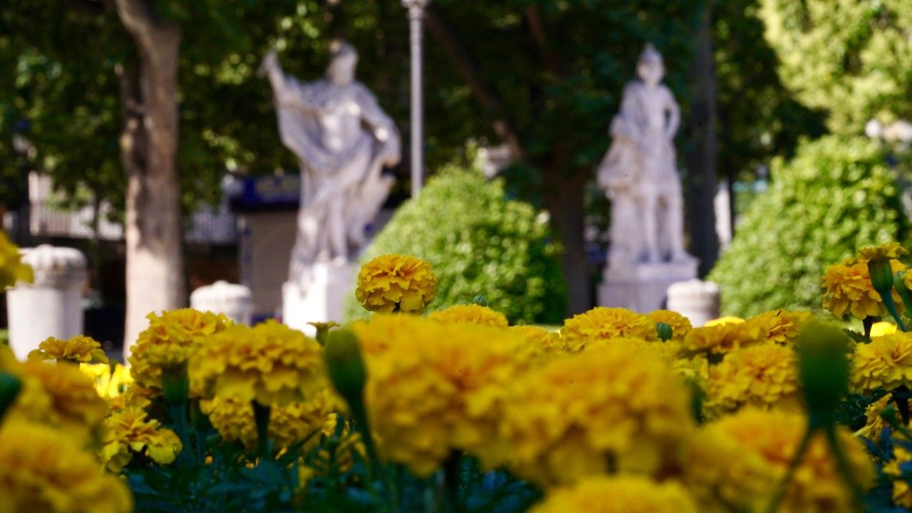 Flores y carteles, Madrid se viste de blanco y amarillo para dar la bienvenida a León
