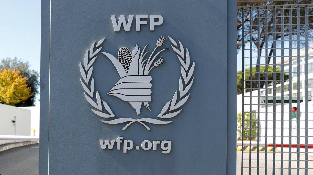 El Papa León XIV visitará la sede del Programa Mundial de Alimentos en Roma